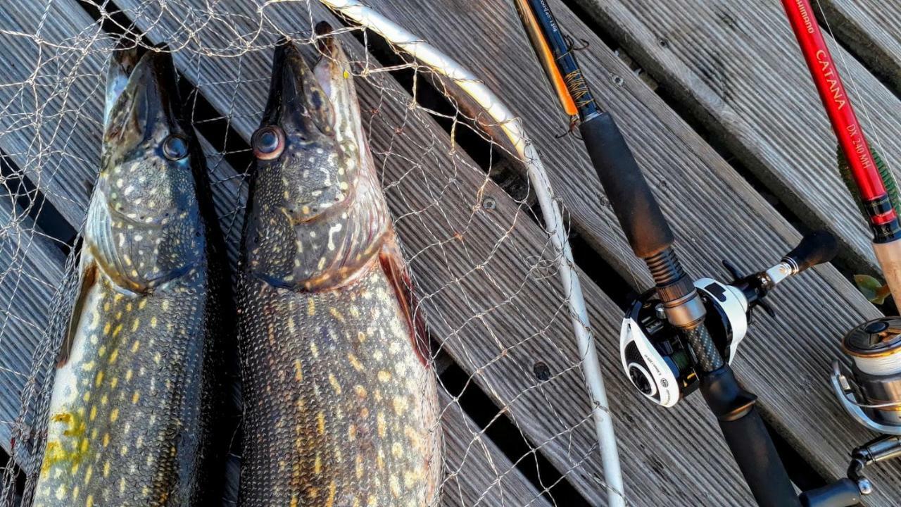 Kalurikula Fishing Village Pärnu Eksteriør bilde
